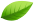 green leaf