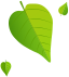 green leaf